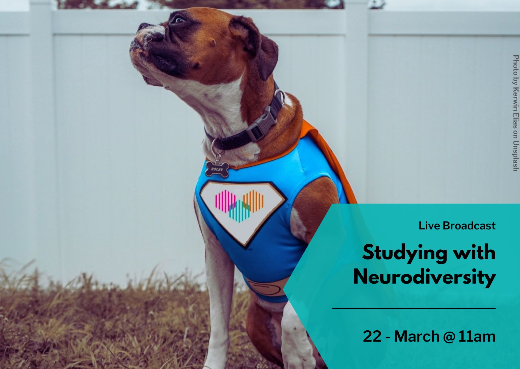 studying-with-neurodiversity-22-march-2023-https-studenthublive